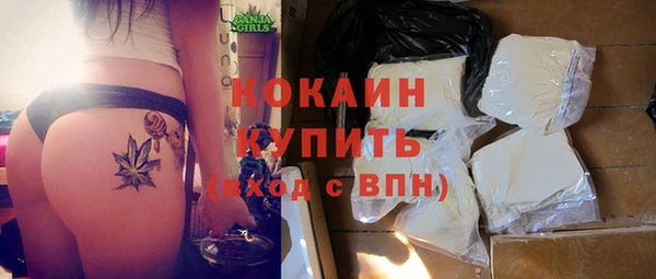 дмт Абаза