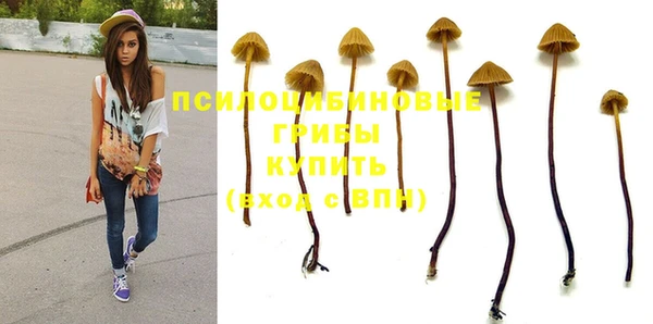 дмт Абаза