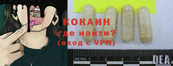 дмт Абаза