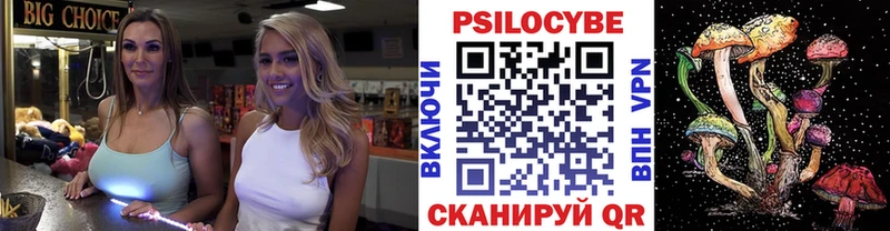 где купить   Болгар  Псилоцибиновые грибы Cubensis 
