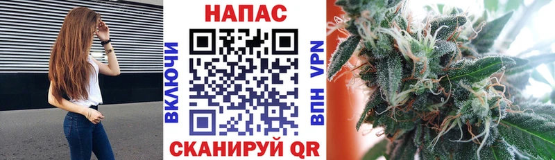закладки  мега маркетплейс  Бошки Шишки планчик  Болгар 